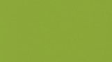 Silestone Life Verde Fun